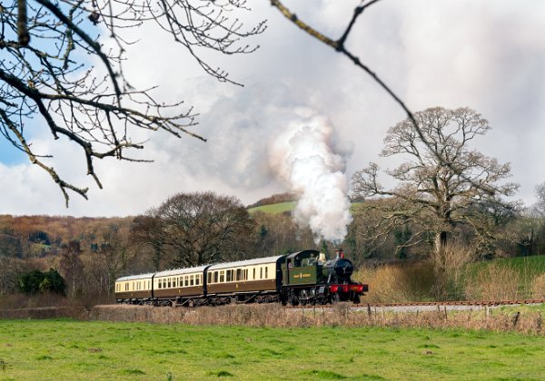 South Devon Railway March 2020